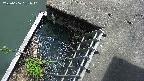 yamashirozeki3-20250606131041.jpg