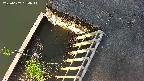 yamashirozeki3-20250607054043.jpg