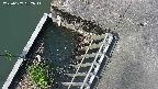 yamashirozeki3-20250607082045.jpg