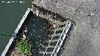 yamashirozeki3-20250607083043.jpg