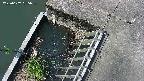 yamashirozeki3-20250607085040.jpg
