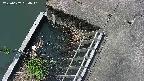 yamashirozeki3-20250607094041.jpg