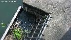 yamashirozeki3-20250607140042.jpg