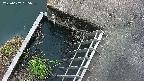 yamashirozeki3-20250607185040.jpg