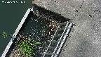 yamashirozeki3-20250609101045.jpg