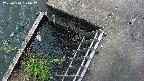 yamashirozeki3-20250610135041.jpg