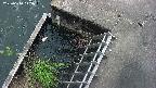 yamashirozeki3-20250610145044.jpg