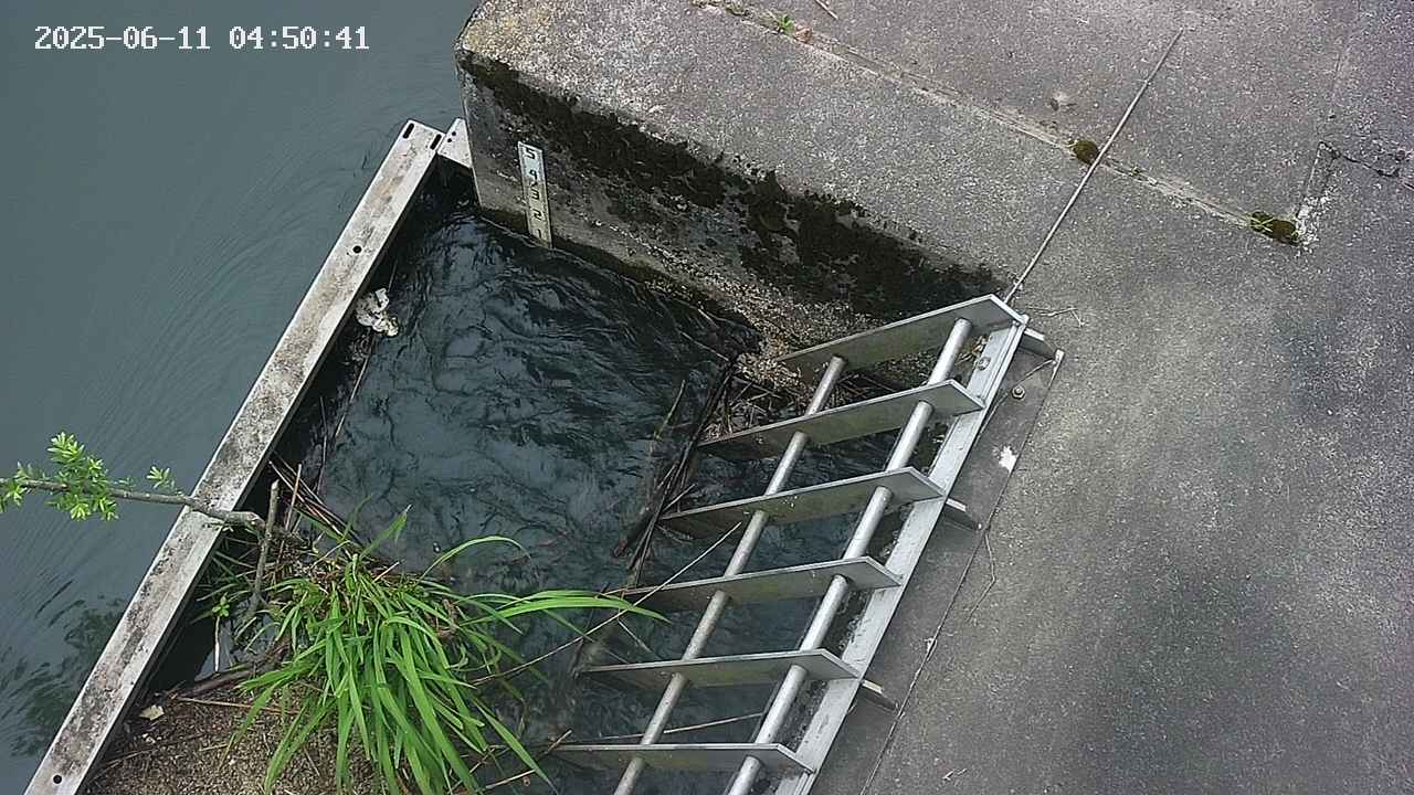 yamashirozeki3-20250611045042.jpg