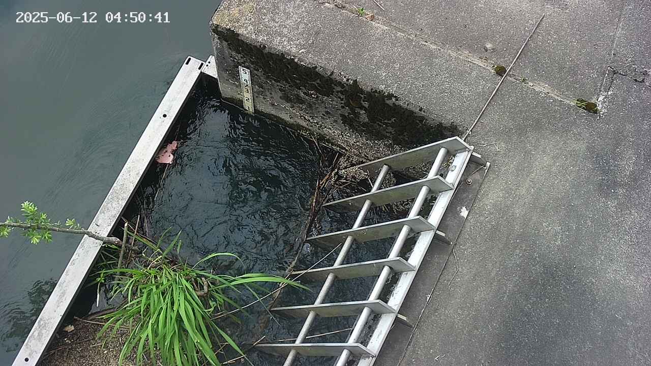 yamashirozeki3-20250612045043.jpg