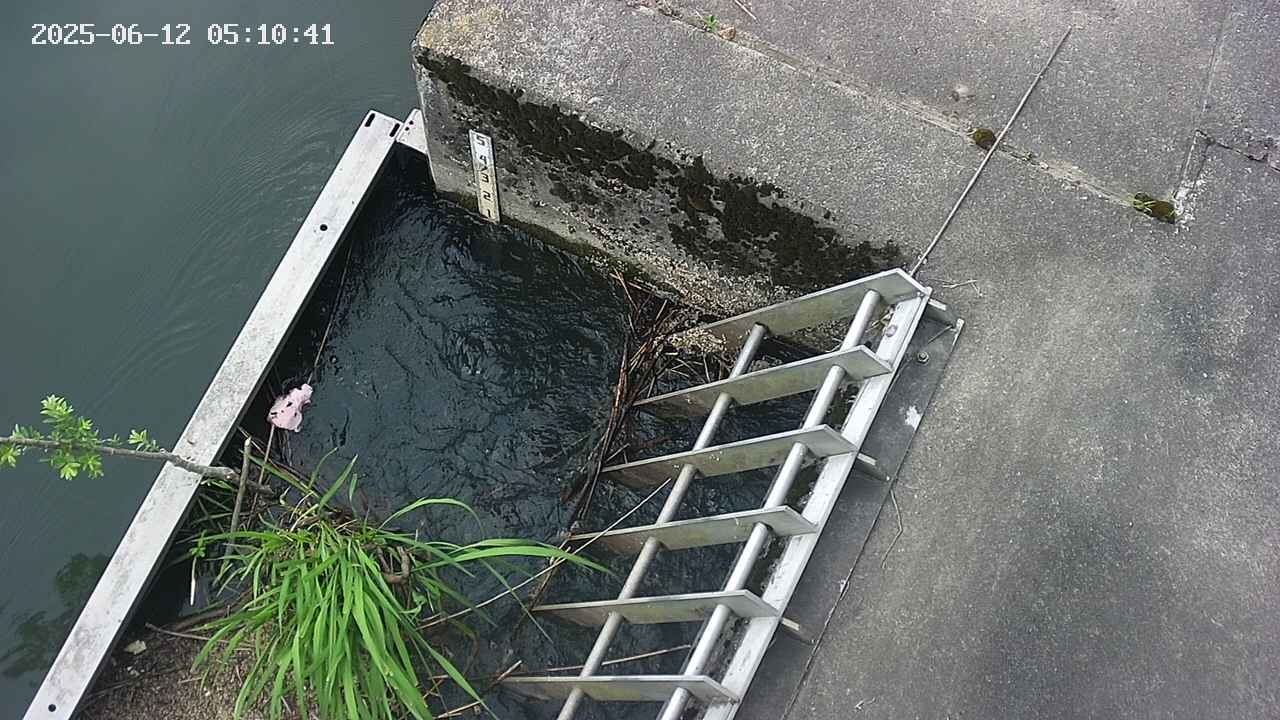 yamashirozeki3-20250612051042.jpg