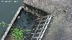 yamashirozeki3-20250612060045.jpg