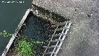 yamashirozeki3-20250612075044.jpg