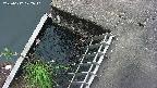 yamashirozeki3-20250612172041.jpg