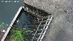 yamashirozeki3-20250612173042.jpg