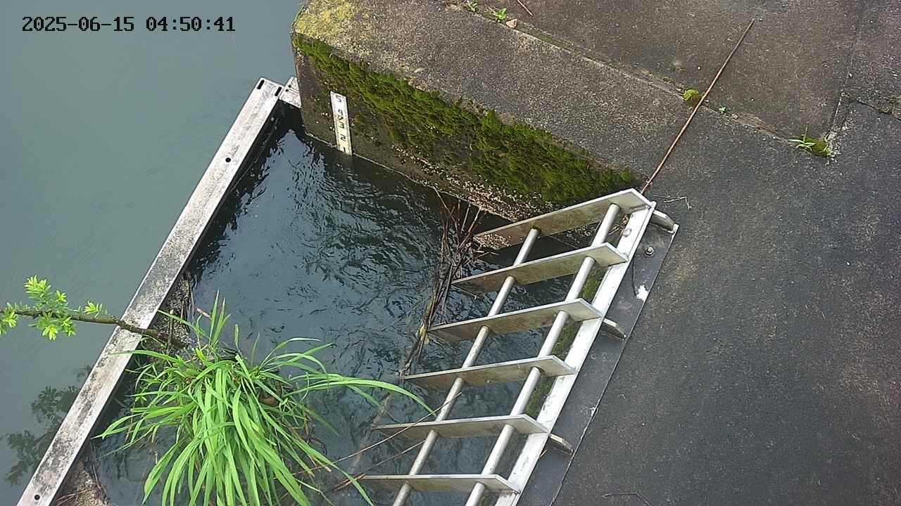 yamashirozeki3-20250615045042.jpg