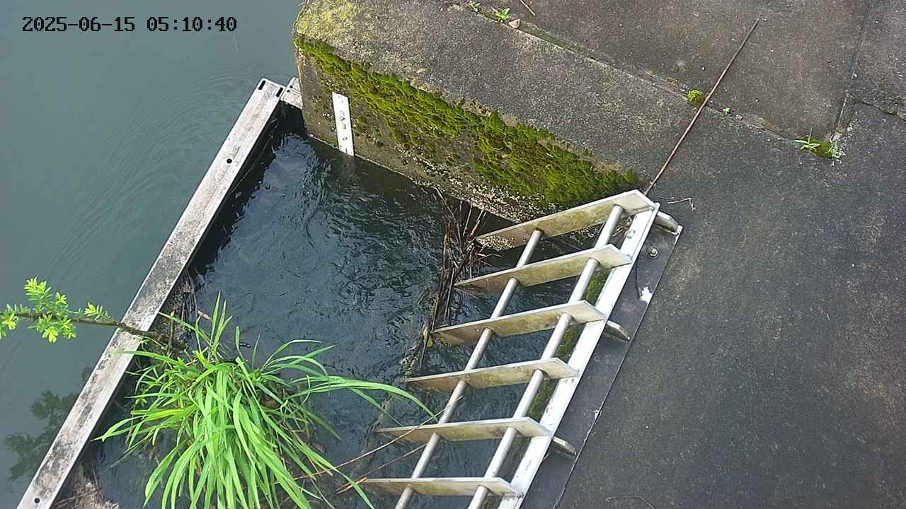 yamashirozeki3-20250615051042.jpg