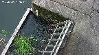 yamashirozeki3-20250615083042.jpg