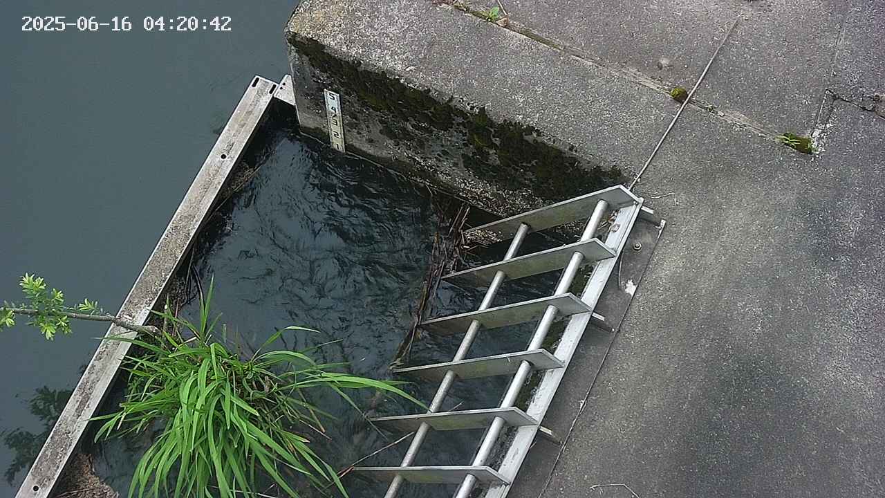 yamashirozeki3-20250616042043.jpg