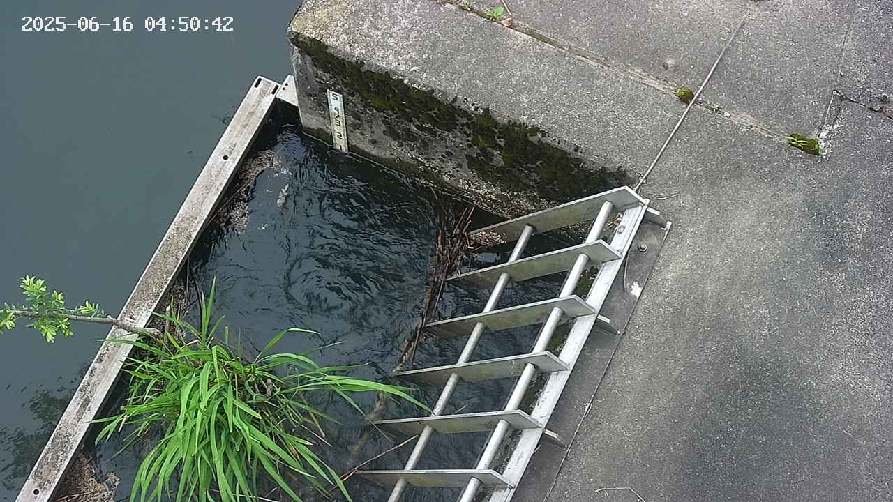 yamashirozeki3-20250616045043.jpg