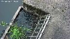 yamashirozeki3-20250616052043.jpg