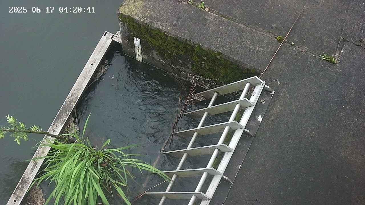 yamashirozeki3-20250617042043.jpg