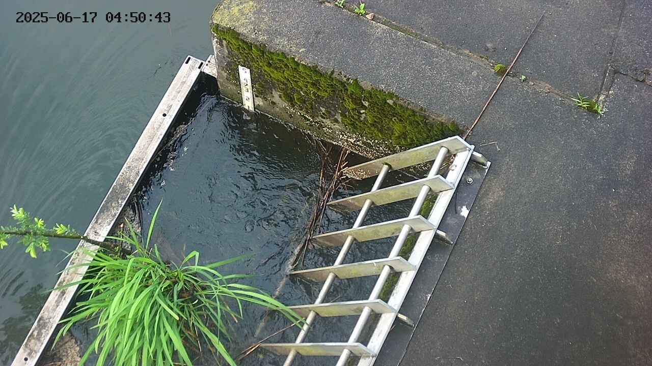 yamashirozeki3-20250617045045.jpg