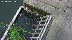 yamashirozeki3-20250617082040.jpg