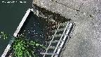 yamashirozeki3-20250617093043.jpg
