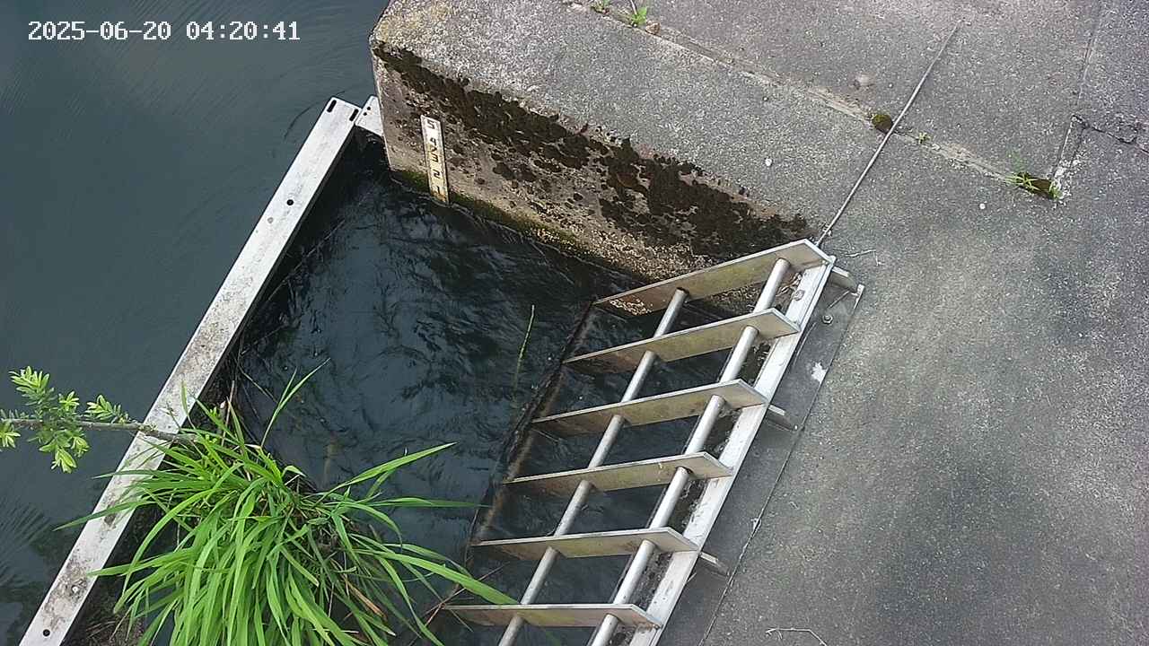 yamashirozeki3-20250620042043.jpg