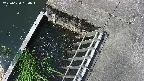 yamashirozeki3-20250620090045.jpg
