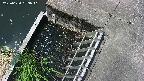 yamashirozeki3-20250620093042.jpg