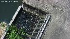 yamashirozeki3-20250620094043.jpg