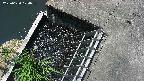 yamashirozeki3-20250620104041.jpg