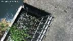 yamashirozeki3-20250620112043.jpg