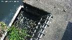 yamashirozeki3-20250620124042.jpg