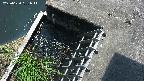 yamashirozeki3-20250620131043.jpg