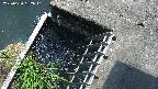 yamashirozeki3-20250620132042.jpg