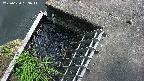 yamashirozeki3-20250620133043.jpg