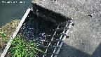 yamashirozeki3-20250620134045.jpg