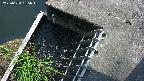 yamashirozeki3-20250620135046.jpg