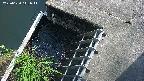 yamashirozeki3-20250620141043.jpg