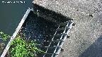 yamashirozeki3-20250620142043.jpg