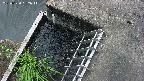 yamashirozeki3-20250620152043.jpg