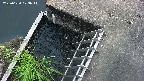 yamashirozeki3-20250620173042.jpg