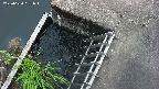 yamashirozeki3-20250620181044.jpg
