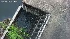 yamashirozeki3-20250620183045.jpg
