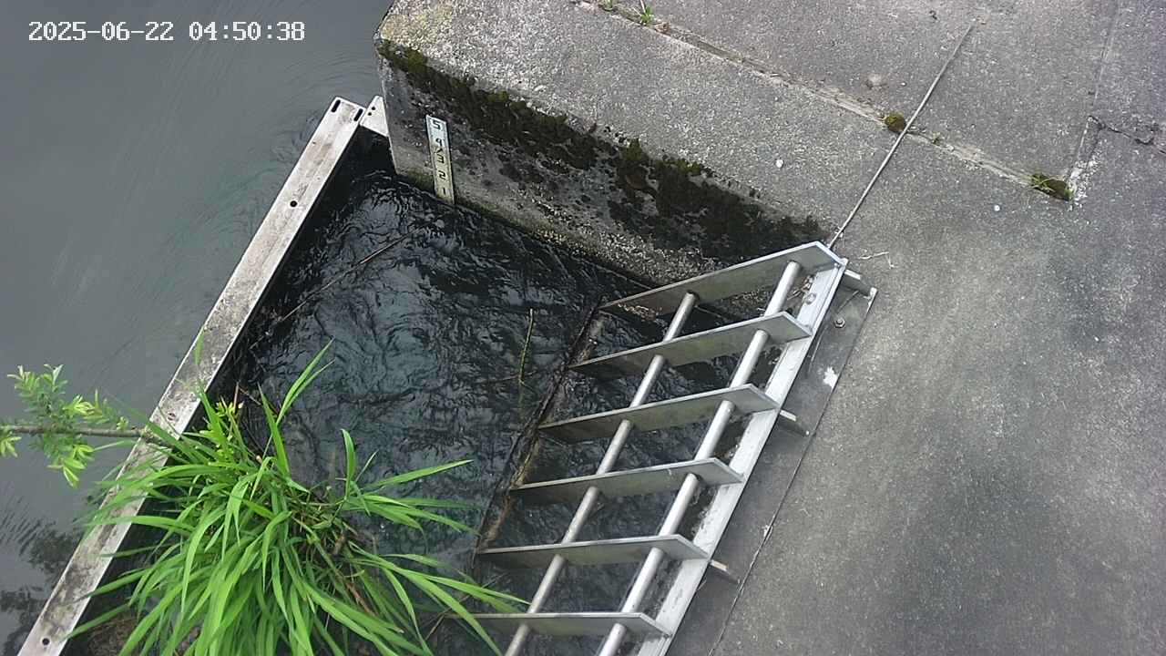 yamashirozeki3-20250622045041.jpg
