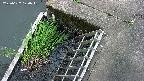 yamashirozeki3-20250627120047.jpg