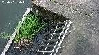 yamashirozeki3-20250627134046.jpg