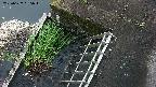 yamashirozeki3-20250627185050.jpg